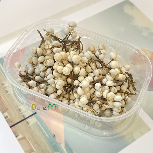 天然小白果diy材料包植物干果