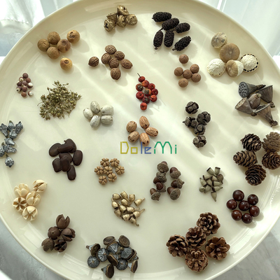 DIY干花干果组合幼儿园手工装饰