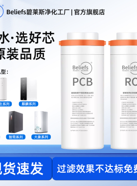 碧莱斯净水器滤芯适用美的花生MRO1791D400G600G玄武PCB麒麟J600S