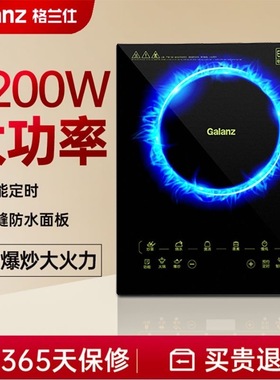 Galanz/格兰仕WL01T电磁炉2200瓦大火力微晶触摸面板家用火锅炒菜