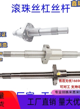 滚珠BSSR BSSRK BSSE1204 1505 1510 2005 2010 2020 2505丝杠