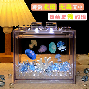 小水母活物宠物适合小孩子养 学生日礼物送女友 儿童迷你宠物套装