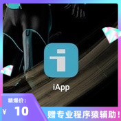 Iapp编程开发专员指导各种代码问题咨询编程开发封装定制软件