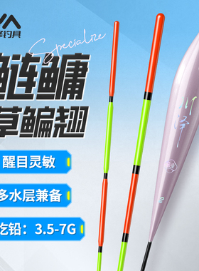 川泽浮漂CD醒目高灵敏鲢鳙草鳊翘行程漂大物漂远投抗风浪走水鱼漂