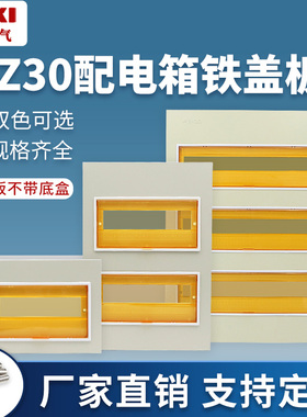 PZ30配电箱铁盖板面板12/15/18/20/30/4回路单双三排明暗装盒盖子