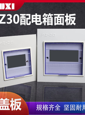 PZ30配电箱面板强电布线箱铁盖板10/12/15/18回路家用电表箱盖子