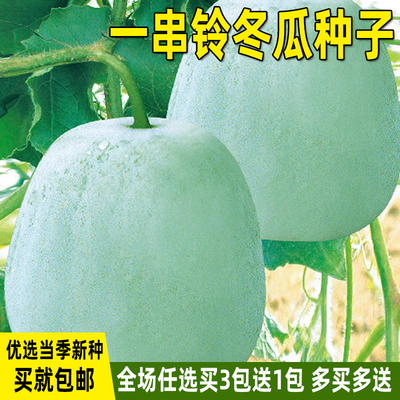 驾欲夏季,春一串铃冬瓜种