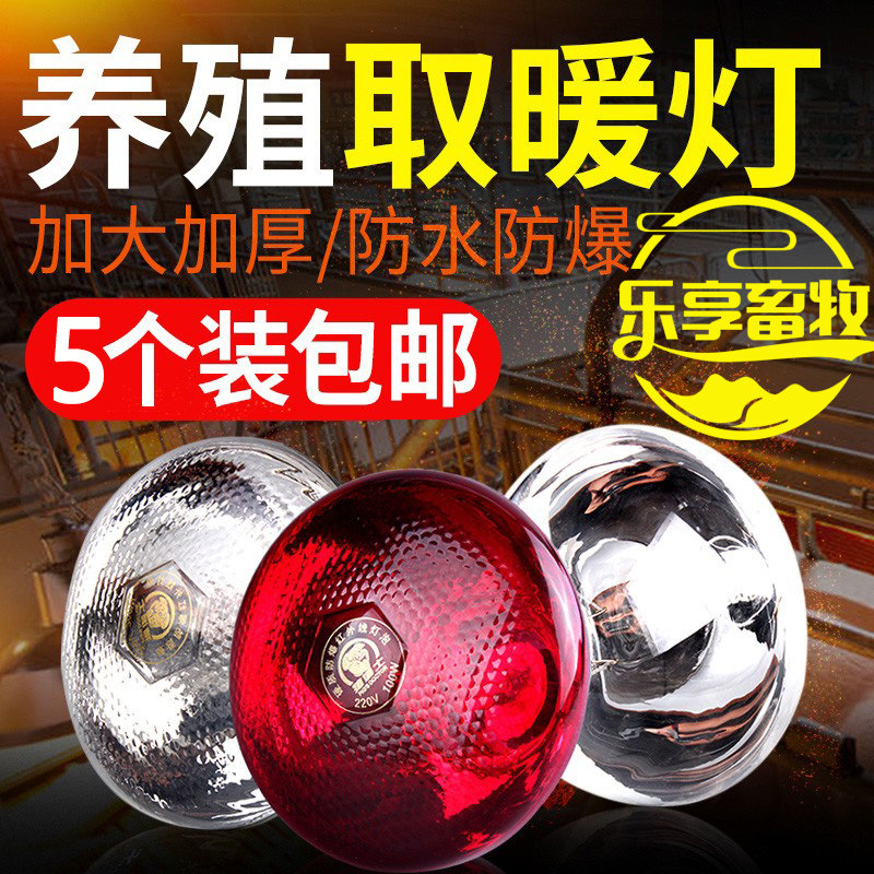 猪博士猪用养殖专用保温灯兽用取暖灯泡小鸡育雏加热烤灯5个包邮,畜牧/养殖物资,养殖保温灯,淘宝优惠券,粉丝福利购,淘宝优惠卷
