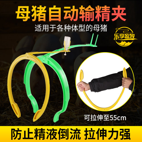 猪用输精夹母猪自动输精支架