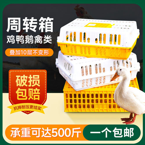 鸡笼运输笼塑料家禽周转箱