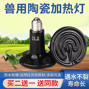 爬宠陶瓷加热灯泡宠物乌龟刺猬陆龟蜥蜴红外保温加温取暖温控灯泡