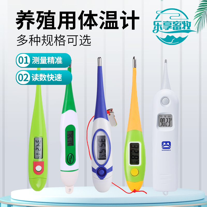 兽用体温计宠物狗狗量体温