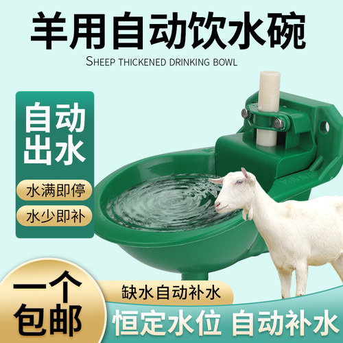 羊用饮水碗塑料羊自动饮水器