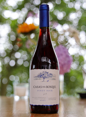 【柔顺花果香】智利名庄CASAS DEL BOSQUE 珍藏黑皮诺干红葡萄酒