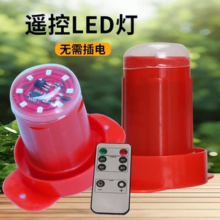 灯笼专用led灯2026新款电池灯笼灯线无线免插电灯泡伴侣装饰挂件