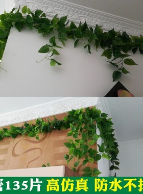 仿真藤条绿萝叶子装饰假遮丑绿植美化花藤水管管道遮挡空调绿叶花
