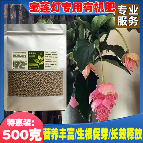 宝莲灯专用肥花营养液色艳花期长
