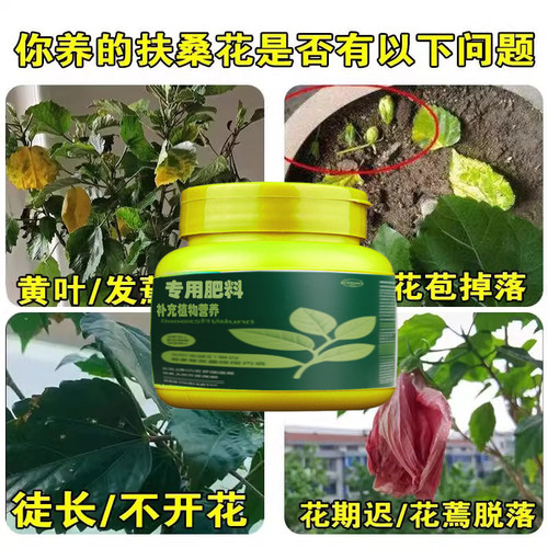 扶桑花专用肥朱槿肥料赤槿营养液佛桑喷叶状元红有机肥开花室内外