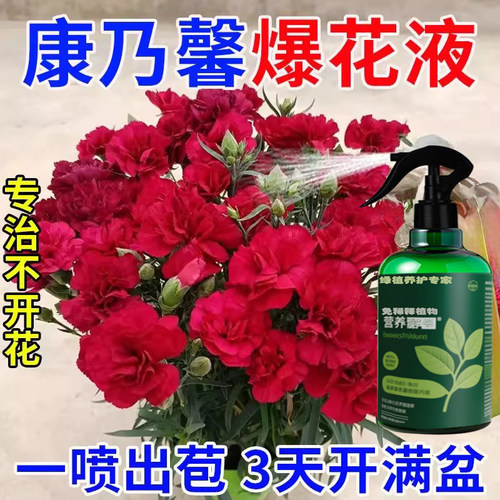 康乃馨专用肥料盆栽杜鹃花肥营养液种子花苗养殖叶面肥水溶化肥料