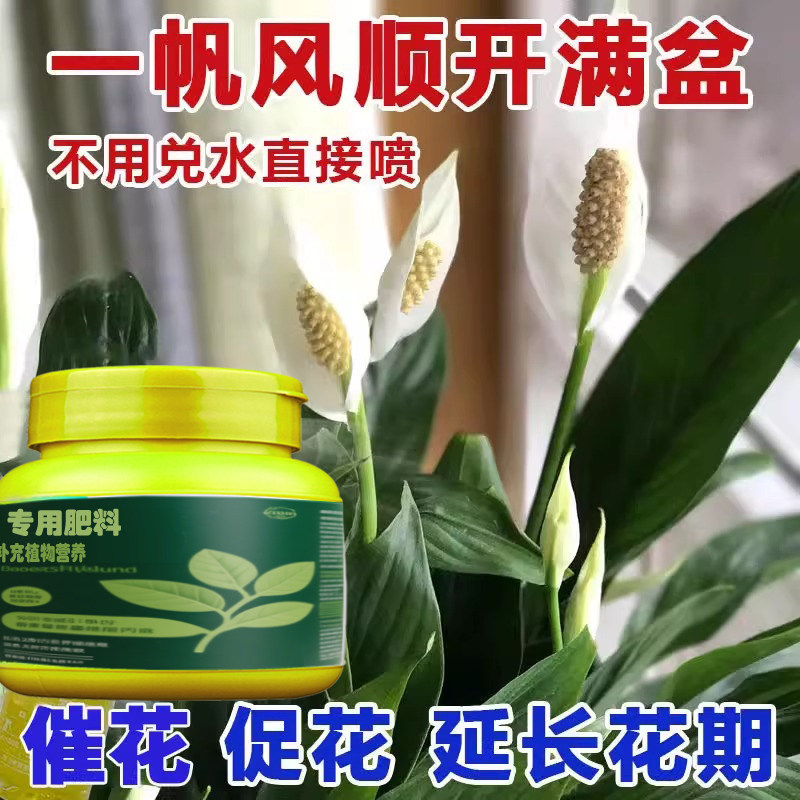 红掌专用营养液免稀释缓释黄叶专用肥料粉掌水培盆栽火鹤花开花肥