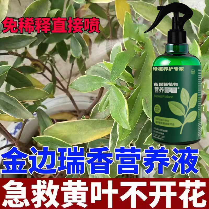 瑞香营养液肥料金边瑞香专用有机肥复合缓释花肥家用盆栽花卉养花