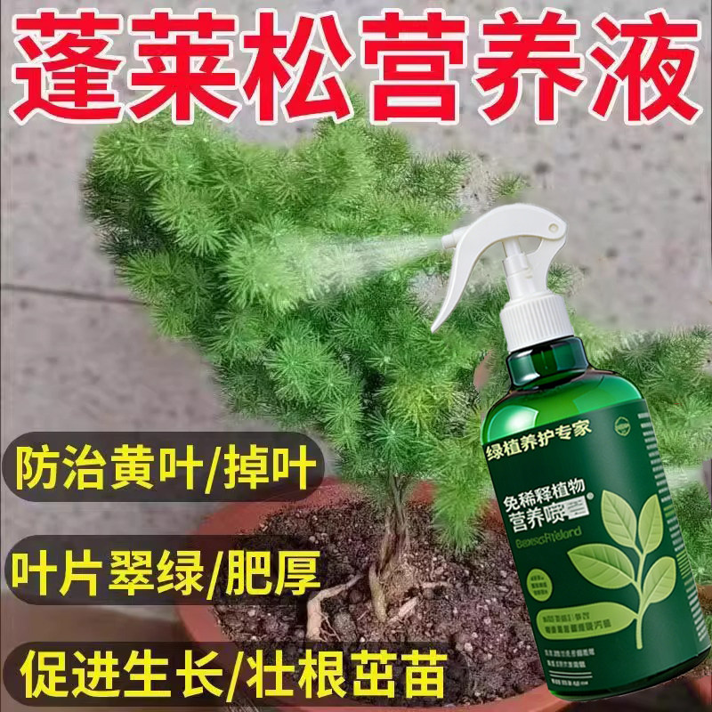 蓬莱松专用肥料养殖盆景盆栽土壤花肥养护营养液叶面肥水溶化肥料