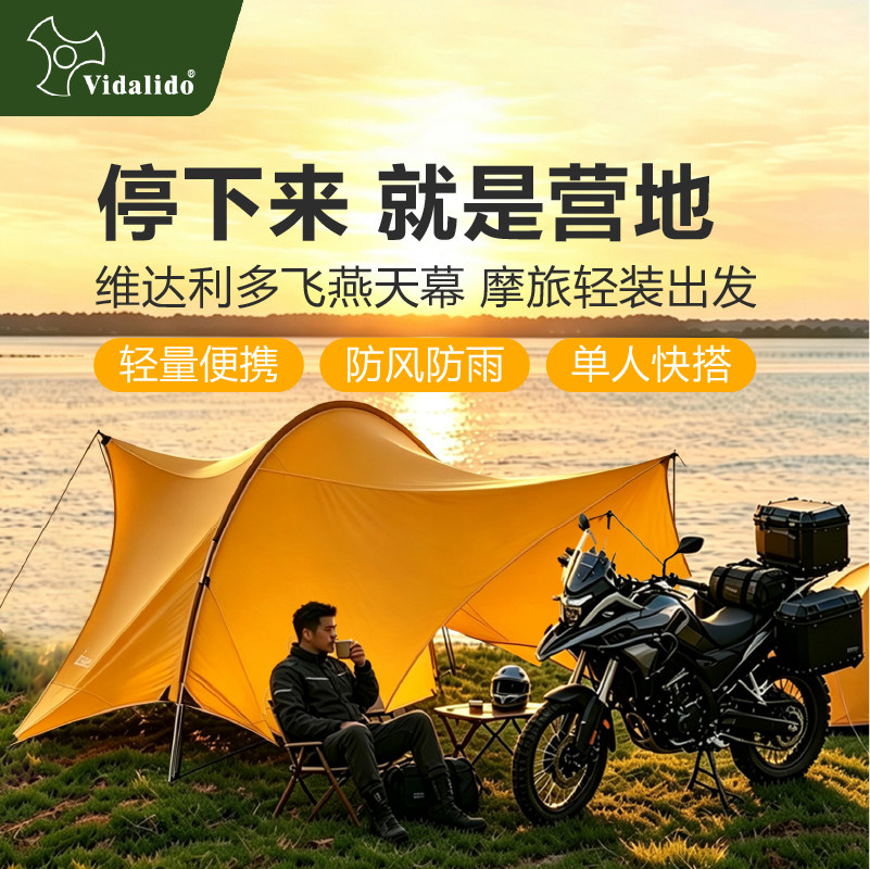 维达利多飞燕隧道轻量化天幕图片
