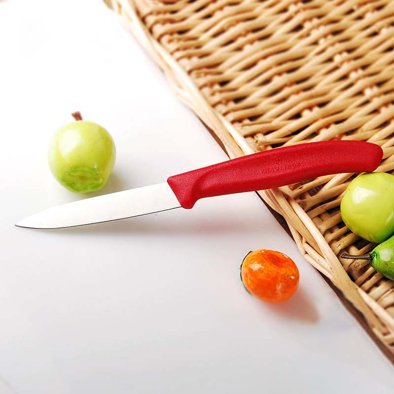 维氏瑞士军刀 瑞士进口不锈钢迷你水果刀厨房瓜果蔬削皮器小刀