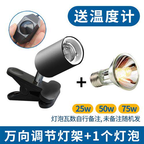 太阳暖灯素材模板 太阳暖灯图片下载 小麦优选