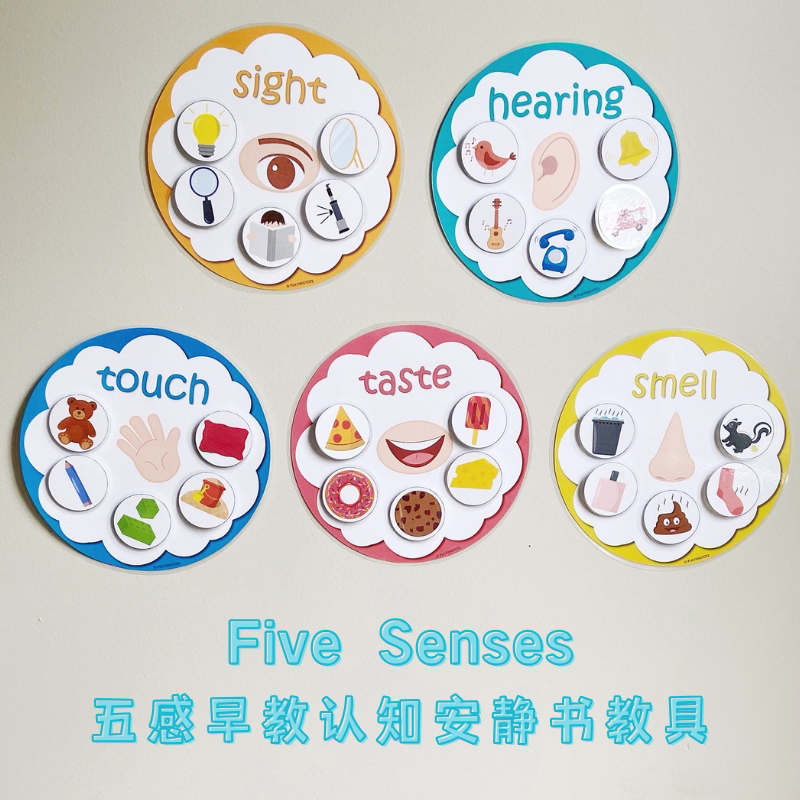 Five Senses五感趣味描红本/涂色本
