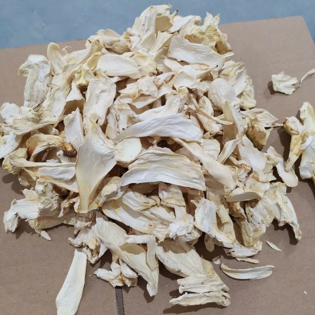 新货杏鲍菇片头干货500g福建省古田食用农产品特产菌菇木耳推荐