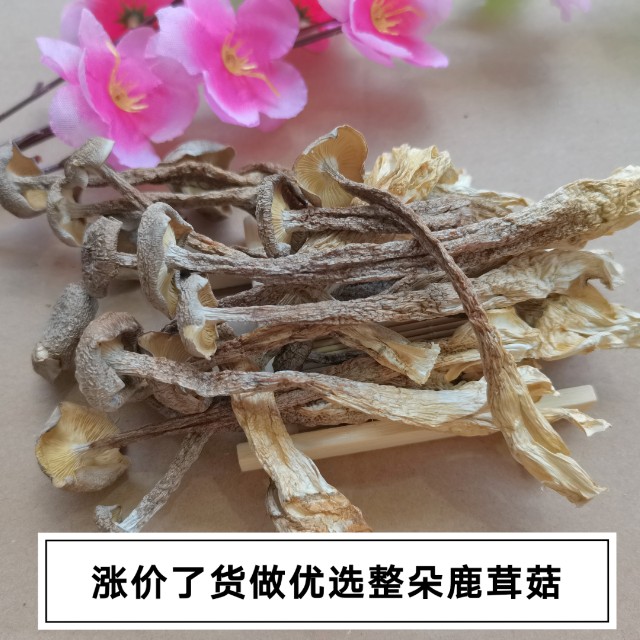 新货鹿茸菇干货福建省古田食用农产品特产香菇菌菇煲汤磨菇推荐