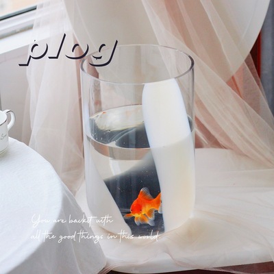 大口径直筒玻璃花瓶玫瑰百合水培插花瓶玻璃醒花桶创意鱼缸摆件