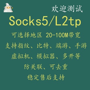 Socks5服务器L2TP比特单窗口sk5指纹多开模拟器虚拟机云机手游