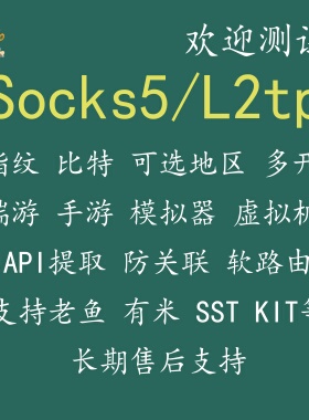 Socks5服务器单窗口SK5/老鱼/有米/万安/电脑/安卓/虚拟机/模拟器