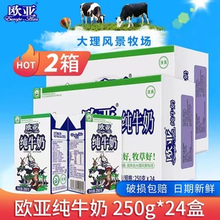 24盒 3箱 2箱装 24盒装 云南特产大理欧亚牛奶 欧亚纯牛奶250g