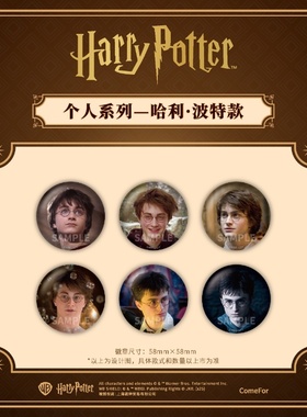 谷知谷知 comfor 哈利·波特个人系列马口铁徽章盲盒