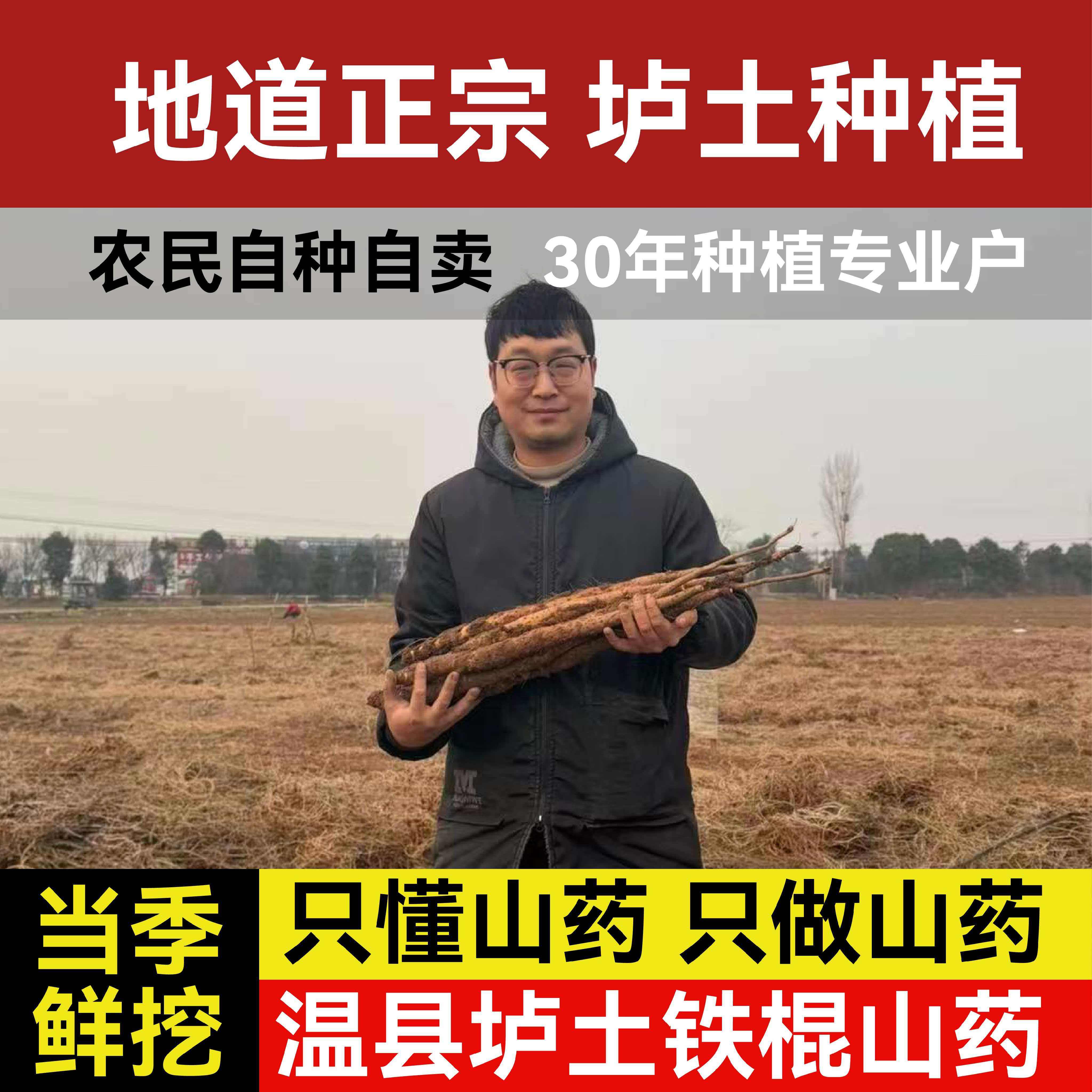 正宗温县垆土地铁棍山药温县直发铁杆山药粉糯干甜新鲜淮山怀山药