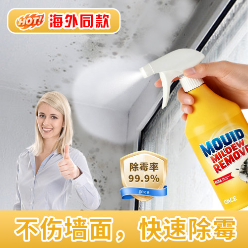 专用除霉剂防霉清洁去霉斑霉菌