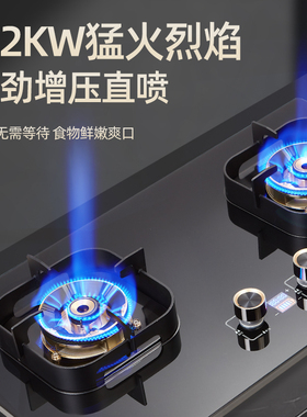 杏田 A家用猛火天然气燃气灶定时嵌入式台式两用液化气煤气灶双灶