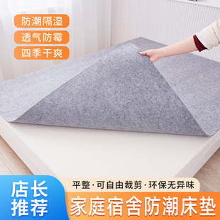 防潮垫榻榻米床垫吸湿除湿薄垫学生宿舍南方家用潮湿天气防霉干燥