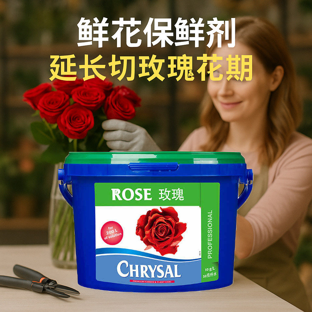玫瑰2KG保鲜剂催开延长花期