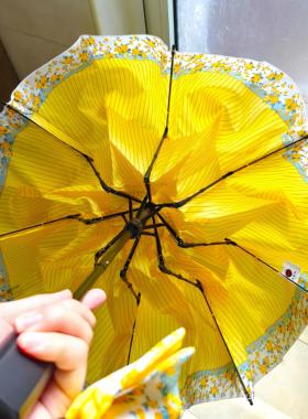 黄色碎花雨伞女晴雨两用高颜值手动折叠款小巧便携黑胶遮阳伞防晒