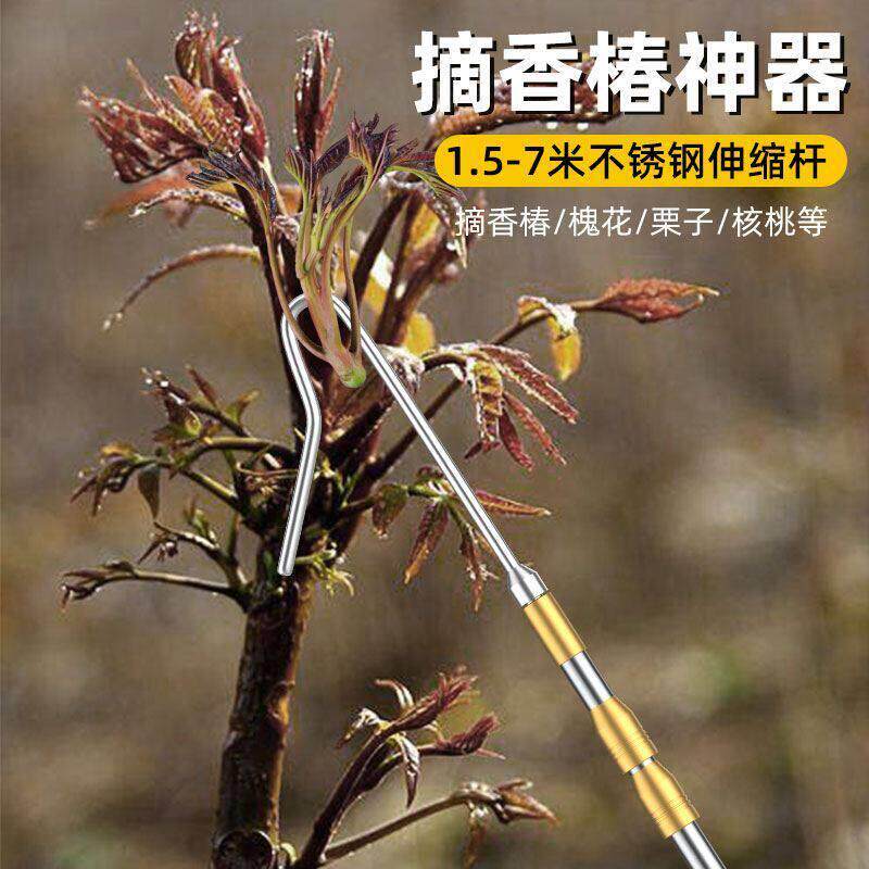 不锈钢洋槐花采摘神器高空可伸缩图片