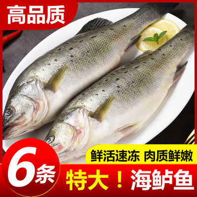 海鲈鱼新鲜冷冻海鱼鲜活深海鱼七星鱼海鲜水产海产品冰鱼卢鱼批发