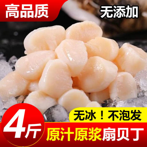 刺身烧烤冷冻水产特级扇贝柱