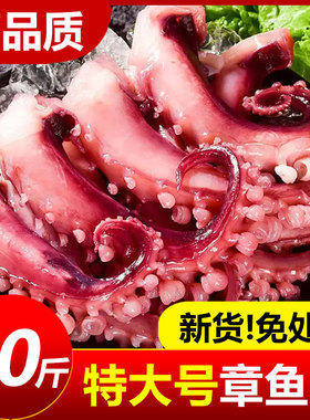 脆口鱿鱼须新鲜冷冻大章鱼须足八爪鱼烧烤火锅商用半成品海鲜水产