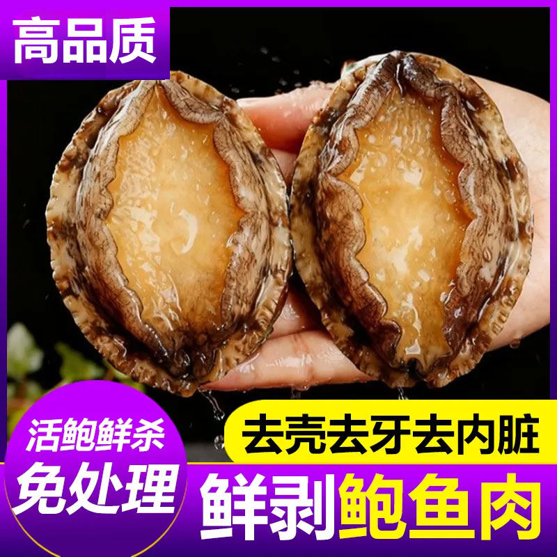 鲍鱼肉新鲜冷冻超大海鲜水产特大加热即食小鲍鱼捞汁饭批发商用