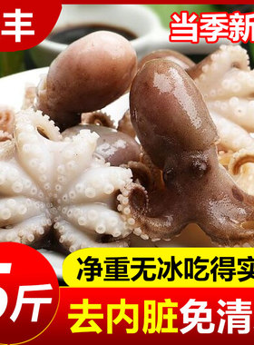 八爪鱼新鲜小章鱼海鲜水产鲜活小八爪鱼冷冻超大八抓鱼迷你大爆头