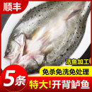 开背海鲈鱼新鲜冷冻深海鱼七星鱼三去卢鱼海鲜水产烤鱼半成品商用